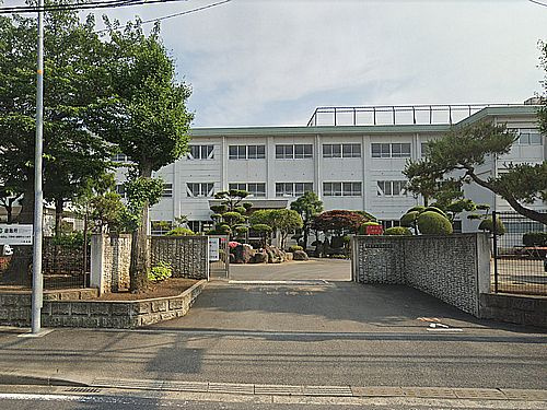 【小学校】平塚市立金目小学校まで335ｍ