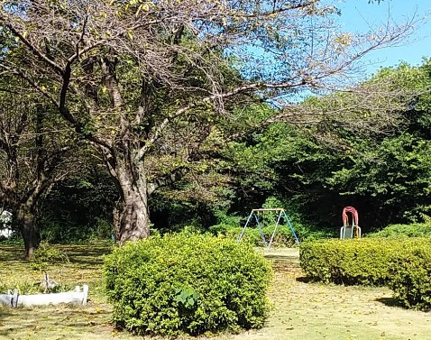 【公園】野田河川公園まで1851ｍ