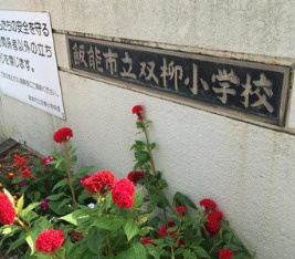 【小学校】飯能市立双柳小学校まで788ｍ