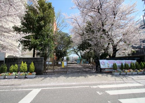 【小学校】朝霞市立朝霞第六小学校まで560ｍ