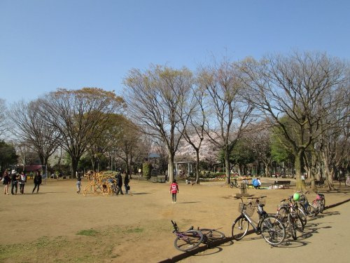 【公園】青葉台公園まで810ｍ