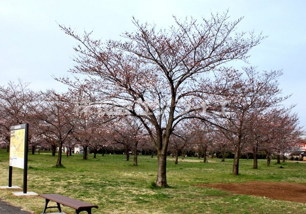 【公園】河川敷中央公園まで1673ｍ