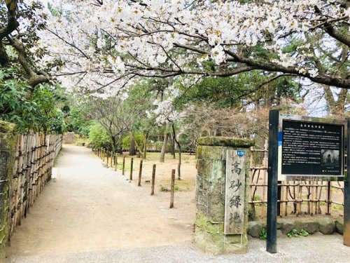 【公園】高砂緑地まで613ｍ