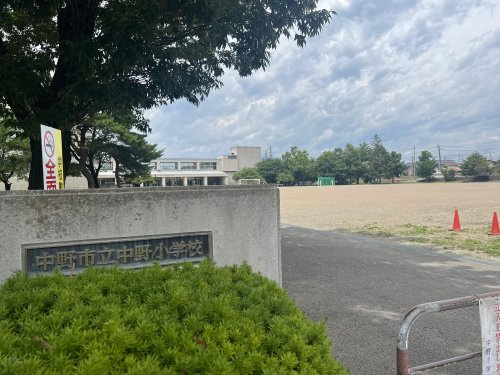 【小学校】中野市立中野小学校まで1392ｍ