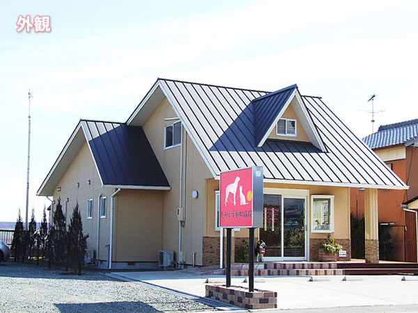 【動物病院】たんぽぽ動物病院まで1170ｍ