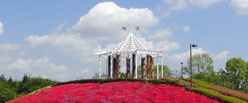 【公園】秋留台公園まで1228ｍ