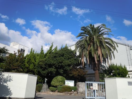 【小学校】高浜小学校まで783ｍ