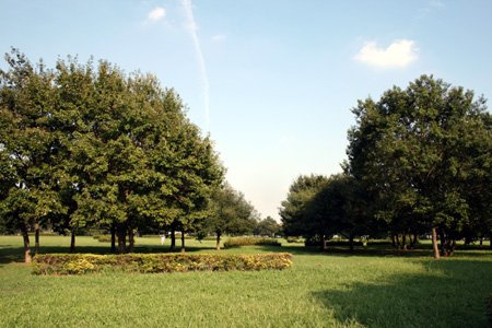 【公園】中川公園まで372ｍ