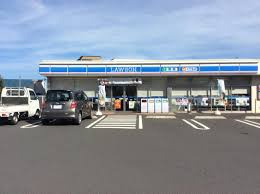 【コンビニエンスストア】ローソン　横浜西大口店まで724ｍ