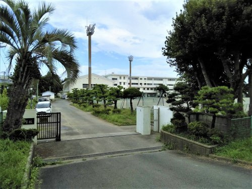 【中学校】茅ヶ崎市立中島中学校まで1177ｍ