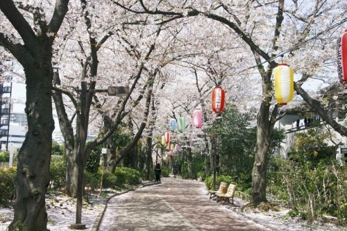 【公園】南砂緑道公園まで436ｍ