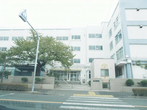 【中学校】江戸川区立瑞江中学校まで785ｍ