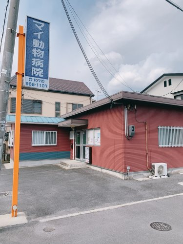 【その他】マイ動物病院まで547ｍ