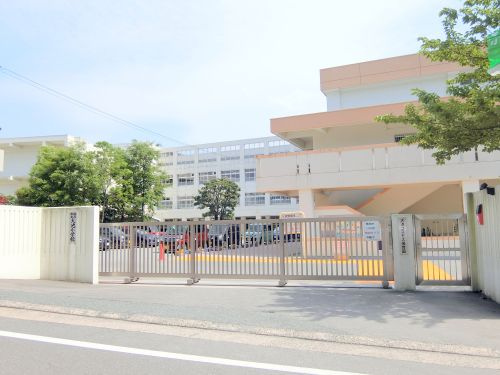 【小学校】福岡市立大池小学校まで736ｍ