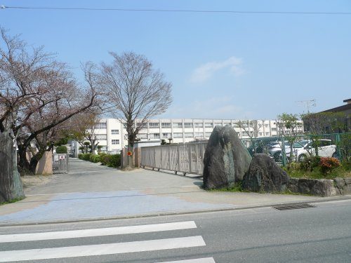 【小学校】東国分小学校まで519ｍ