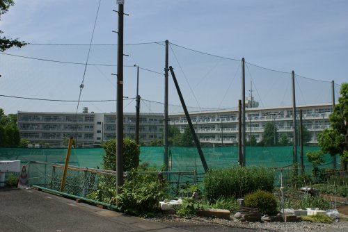【中学校】さいたま市立三橋中学校まで1354ｍ