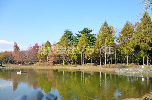 【スポーツ施設】彩の森入間公園多目的広場まで1933ｍ