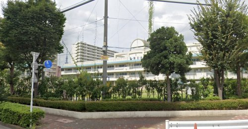 【小学校】第三大島小学校まで839ｍ