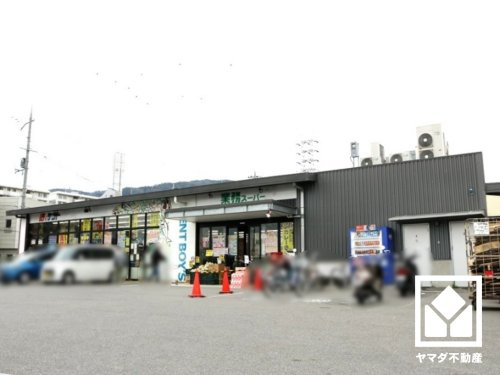 【スーパー】業務スーパー　&amp;　酒のケント　洛西店まで900ｍ