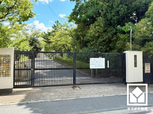 【小学校】京都市立新林小学校まで382ｍ