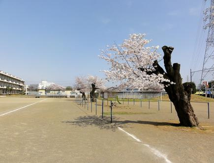 【小学校】嵐山町立菅谷小学校まで2018ｍ