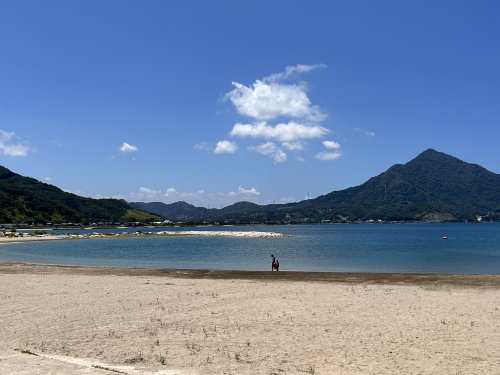 【その他】若宮海水浴場まで550ｍ