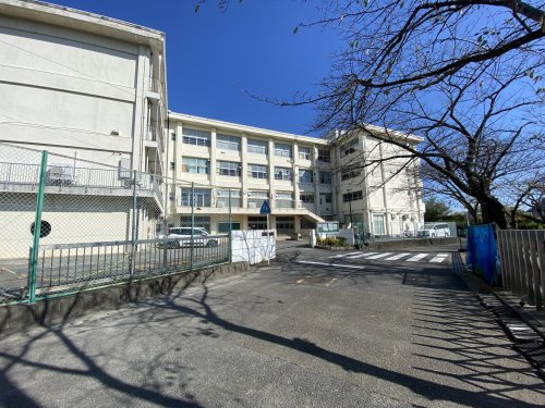 【中学校】鎌倉市立玉縄中学校まで1258ｍ