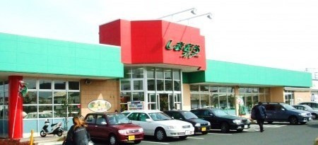 【スーパー】しまむらストアー　すみれ平店まで356ｍ