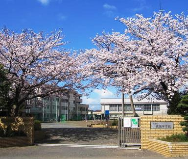 【中学校】茅ヶ崎市立萩園中学校まで140ｍ