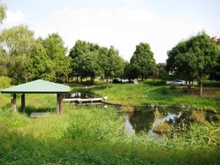 【公園】金目親水公園まで1119ｍ