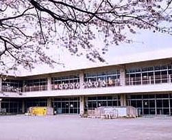 【幼稚園】秦野市立大根幼稚園まで1609ｍ