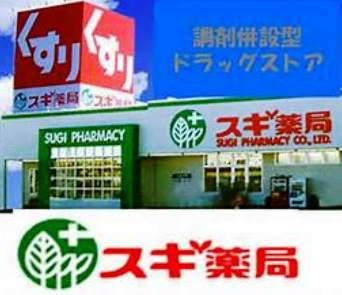【ドラッグストア】スギ薬局厚木愛甲店まで1343ｍ