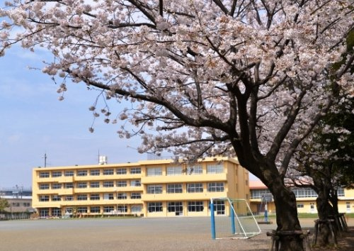 【小学校】海老名市立社家小学校まで741ｍ