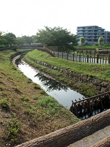【公園】井沼方公園まで475ｍ