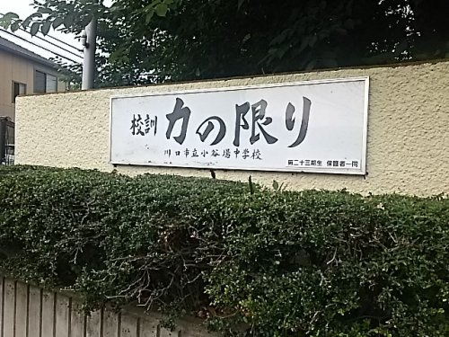 【中学校】川口市立小谷場中学校まで553ｍ