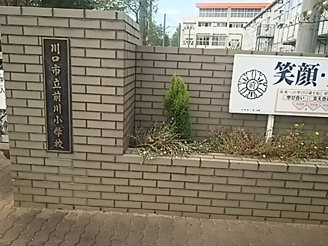 【小学校】川口市立前川小学校まで1434ｍ