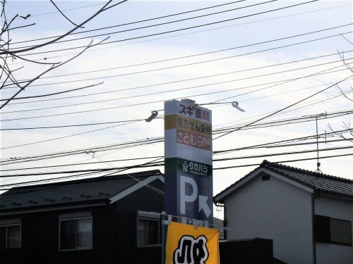 【ドラッグストア】スギ薬局浦和神明店まで1117ｍ