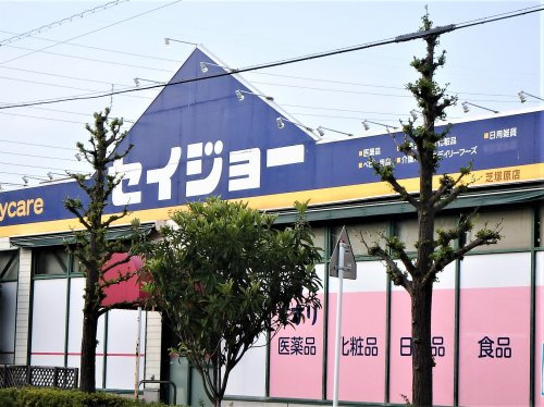 【ドラッグストア】デイリーケアセイジョー芝塚原店まで758ｍ