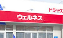 【ドラッグストア】ウエルネス府中浜田店まで2280ｍ