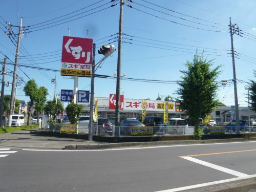 【ドラッグストア】スギドラッグ　越谷花田店まで290ｍ