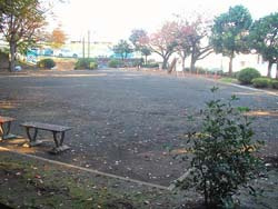 【公園】長津田第三公園まで418ｍ
