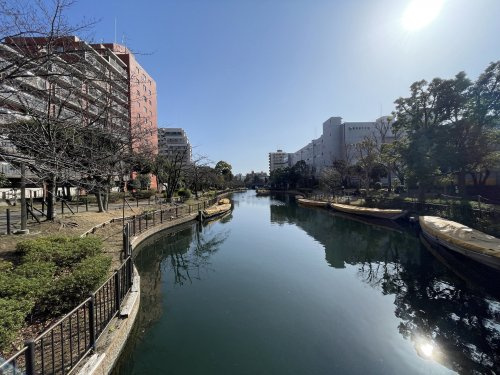 【公園】横十間川親水公園まで833ｍ