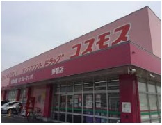 【ドラッグストア】ディスカウントドラッグコスモス　野里店まで1071ｍ