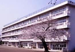 【小学校】秦野市立大根小学校まで788ｍ