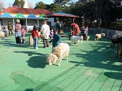 【動物園】平塚市総合公園ふれあい動物園まで1009ｍ