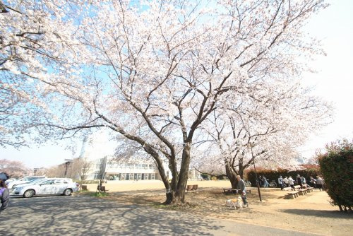 【公園】神山公園まで570ｍ