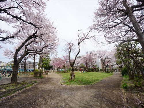 【公園】世田谷区立希望丘公園まで480ｍ