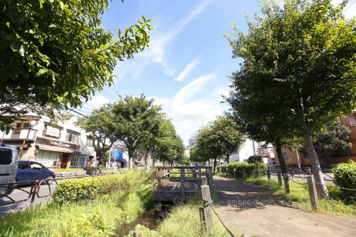 【公園】曳舟川親水公園まで256ｍ