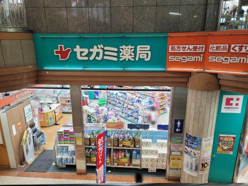 【ドラッグストア】ココカラファインドラッグセガミ塚口店まで809ｍ