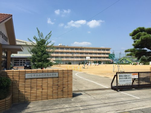 【小学校】一宮市立小信中島小学校まで1591ｍ